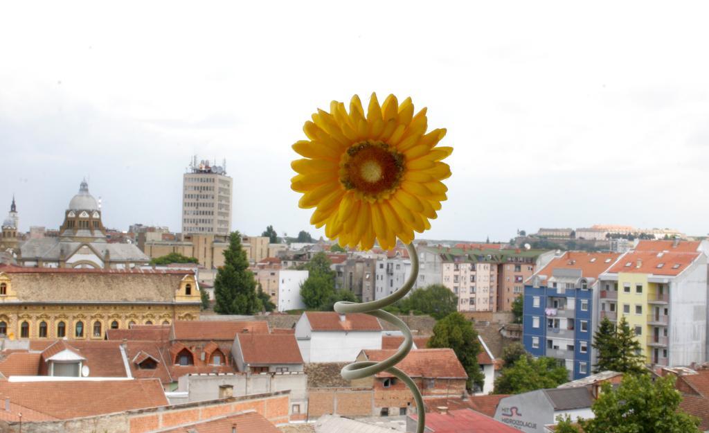 Panorama City Inn Sremski Karlovci Eksteriør billede